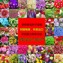 ͺҰMϷNͥԺ^̨Nӻļ_