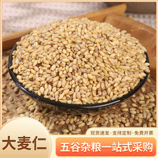 �S�����lȥƤ������ÓƤС����38��һ�����ʴ���������s�Z�ּZ