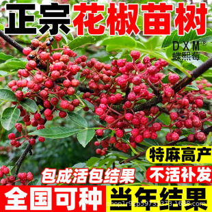 ���ڻ�������Ĵ���t���齷�໨������Y�����Ե��Խ����ϱ��Nֲ