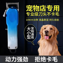 �羳����ꌣ����Ƽ�؈�乷��������ë�����ܔ��@늄����l��