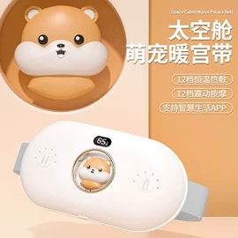 电热暖宫带;驱虫驱鼠器;蒸汽清洁机