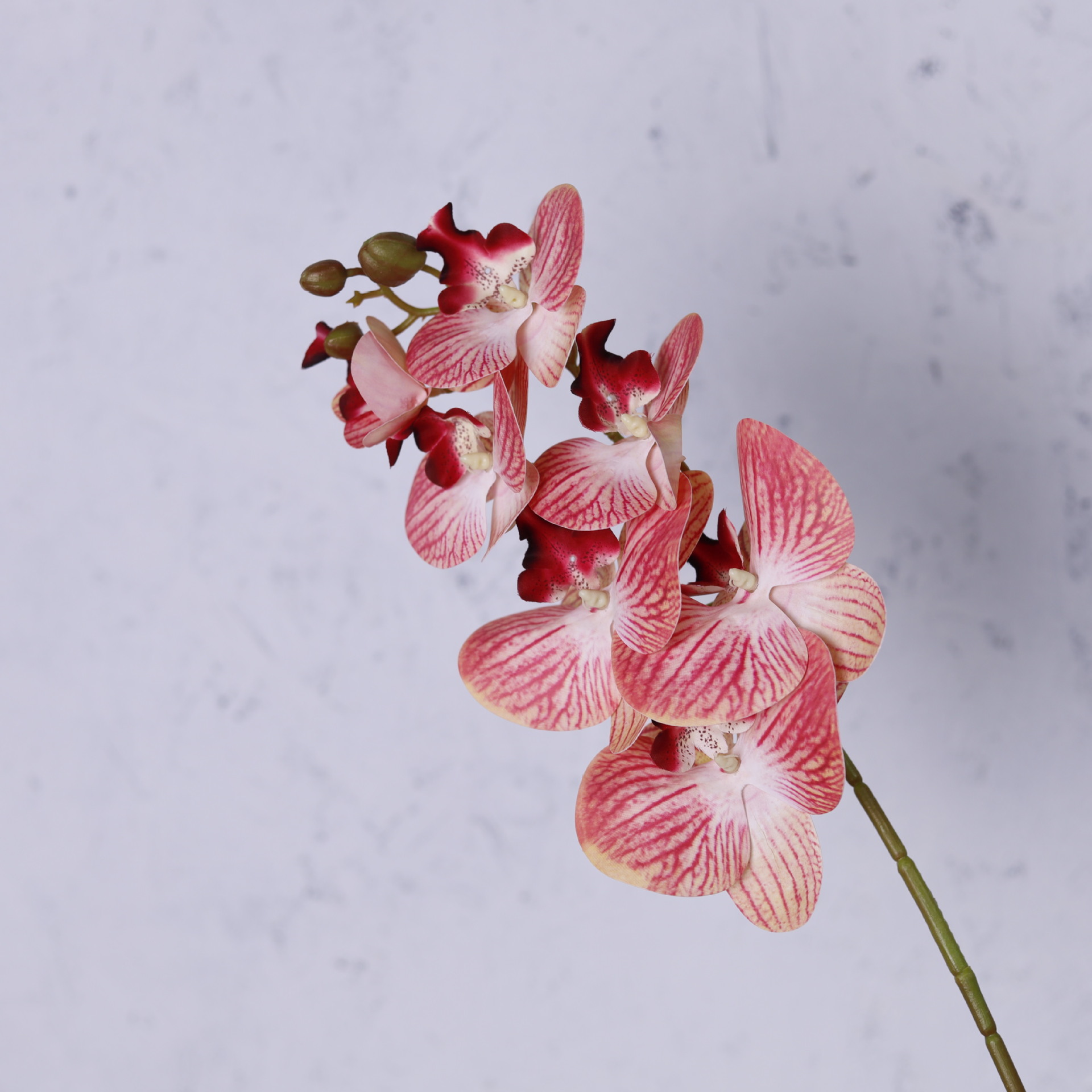 Impresión 3D de 7 cabezas de orquídeas mariposa flor de decoración de flores de alto nivel flor de nicho decoración floral decoración de sala de estar