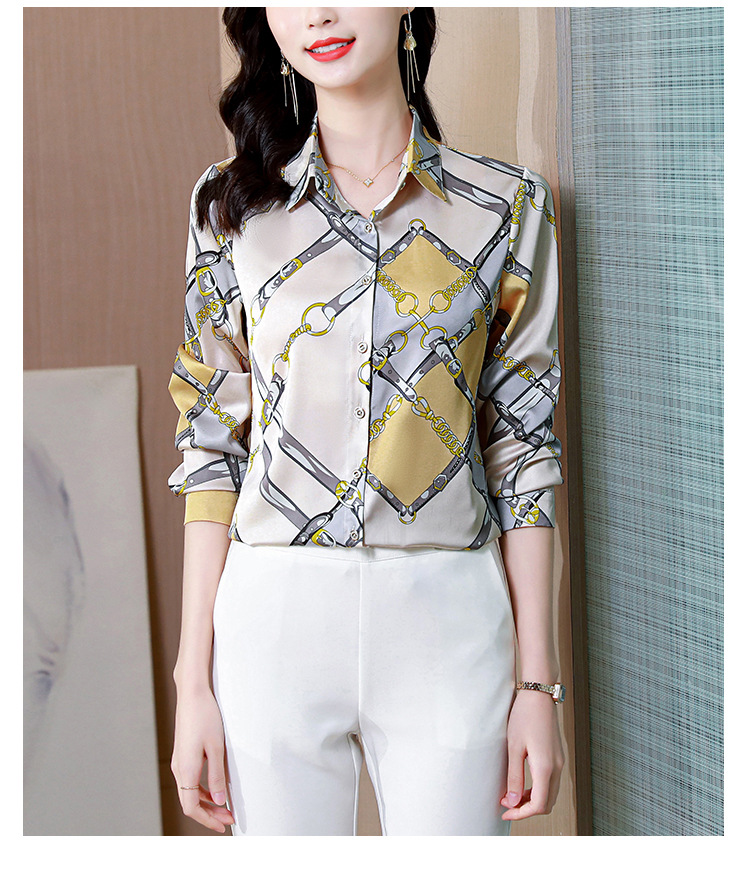 Silk Shirt Image