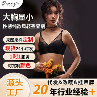 轻奢法式蕾丝内衣女纯欲大胸显小上托收收副乳舒适透气调整型文胸