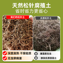 ?��ᘠI�B���Ƿ�����~���~����m�������m��Ȼ�I�B��ֳ����