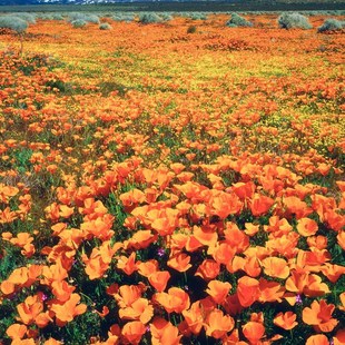 ����ݷN�����������N�� �����_��¶�컨�����N����ͥԺ�̨����