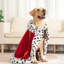 �ﶷ��ʹڹ�����ñ���L�}�Q���ӷ���f�}����ɫ�����Ɍ����b