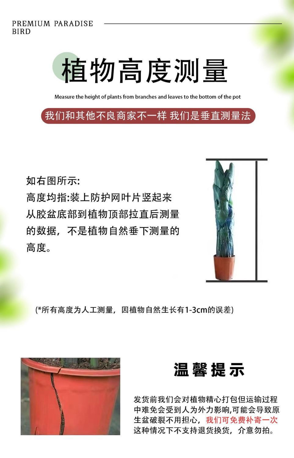 95978649-54d9-4855-a8dd-302debb90cb3.jpe