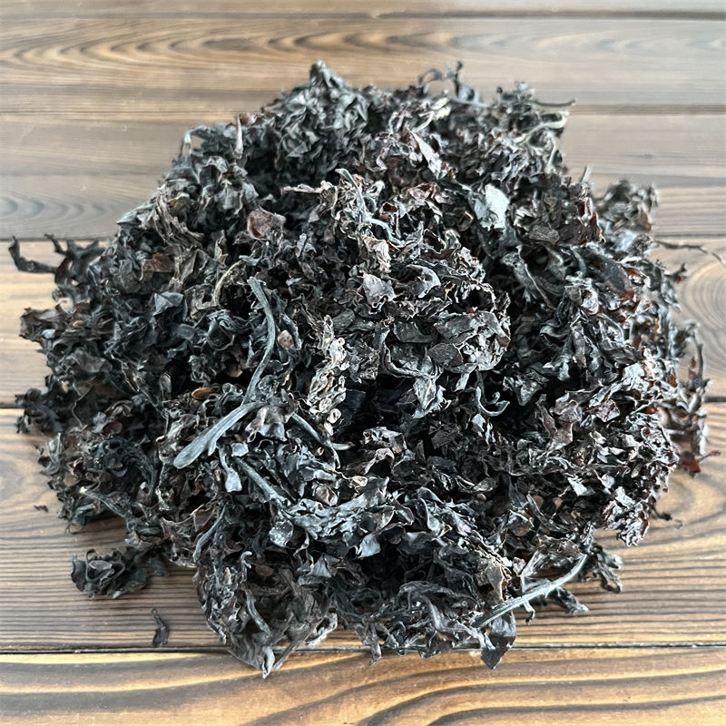 Dried Seaweed Hai Zao 500g Traditional Chinese Herb Sliced for Decoction and Soup quality and texture