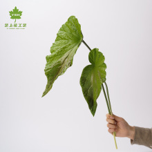 �S��ֱ�N�����ﺣ���ָ�pu�Gֲ��ˇ�OӋ��Ʒ�|�����b@���OӋ