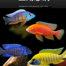 �����~���w���������R���s���~�Ꭷ��ˮ���B�ͻ���~���]����