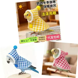 猫猫玩具;宠物项圈;猫抓板