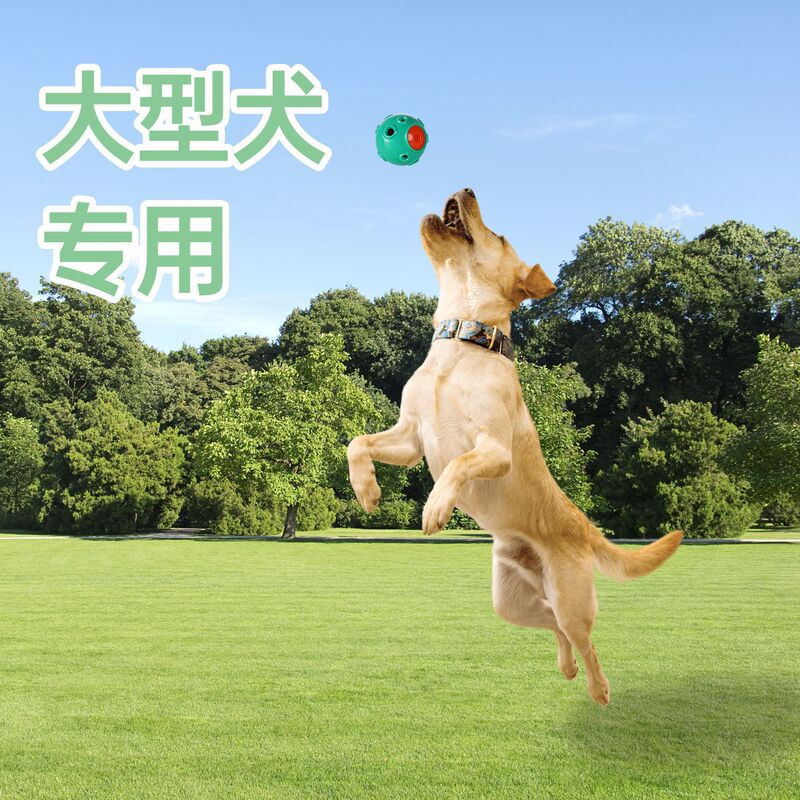 亚马逊狗狗玩具月亮发声球 双层耐咬洁齿磨牙训练用品宠物玩具|undefined