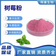 树莓粉 覆盆子汁粉 覆盆子果粉 树莓水溶粉 SC工厂 现货供应