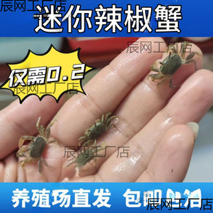 ��������з�^�pзˮ�����lС�з����з�ľ�з�[�����С�з