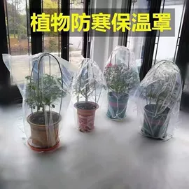 其他一次性;塑料手提袋;其他塑料薄膜