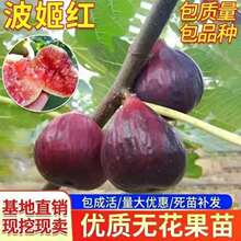 �o�������������Nֲ����Y���޽ӵ������ԟo����������