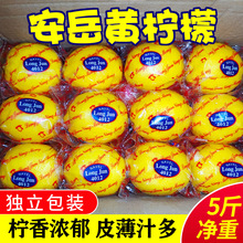 �������r �Ĵ������������rˮ������9�ﾫ�xƤ����֭��ˮ�r������