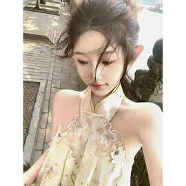 千金感新中式国风露肩挂脖上衣女设计感小众绝美气质露背外穿小衫