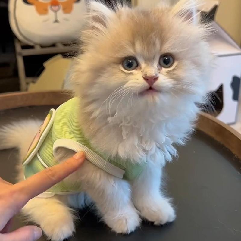 09f01685-d5d8-48c7-87ac-9fe7ce4bd039.jpe