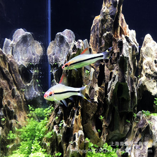 һü�����~�tü�����~С�͵�ˮ�ݸ�Ⱥ�κ��B�׻�Ꭷ�^�p�~���w