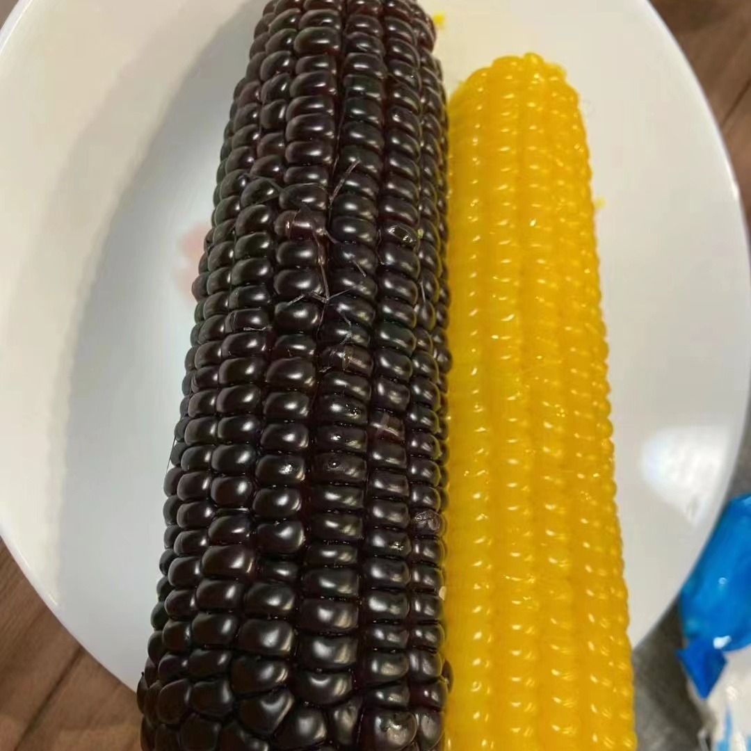 2024-05-07 18:54:29.jpg