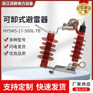 Customized 10Kv Removable Surge Arrester Hy5Ws-17/50Dl-Tb Drop-Out Surge Arrester Lingke Switch