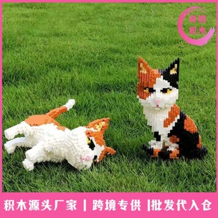 �羳�eľ���l����؈��ţ؈���S؈�[��΢�w���eľ������l�ɴ���}