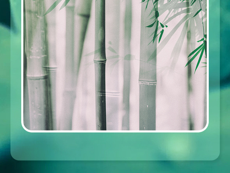 8f5f951d-ab5f-4331-b8f2-90cc3901c8db.jpe