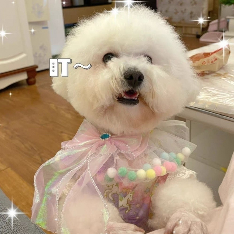 猫の首を囲むクリスマスのよだれレースのぬいぐるみペットの犬のマフラーの装飾の蝶ネクタイの猫の装飾品の犬のよだれかけ|undefined