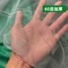 60 mesh/square