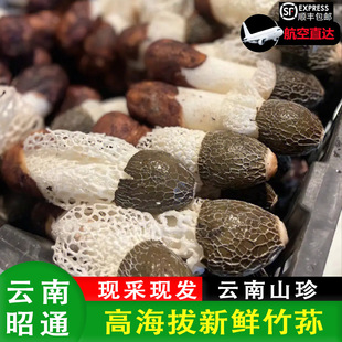���x������r���pʳ�þ�Ģ�������r���Ҝ��خa���ع��S���l��Ȼ