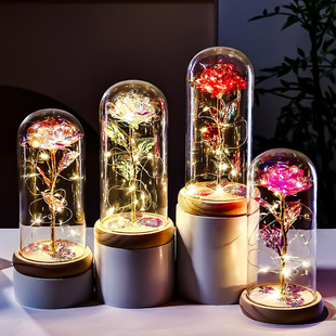 ˹Yԭľ׽õ廨ֿ羳[}QնY