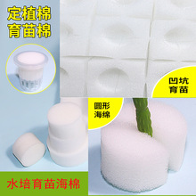 �o���������纣�d��ֲ���޶�ֲ�@���ϱ��̶��Nֲ�߲��~����ˮ����