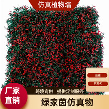 �羳���滨ֲ���UV�����⾀���õװ�Gֲ�쾰�b����҃ȵ��