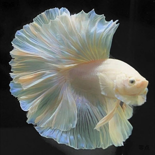 ̩��ِ�����~������Ů�鼆���¼��׾W�t�Ꭷ�^�p�~�Ꭷ�~���B�ͻ�