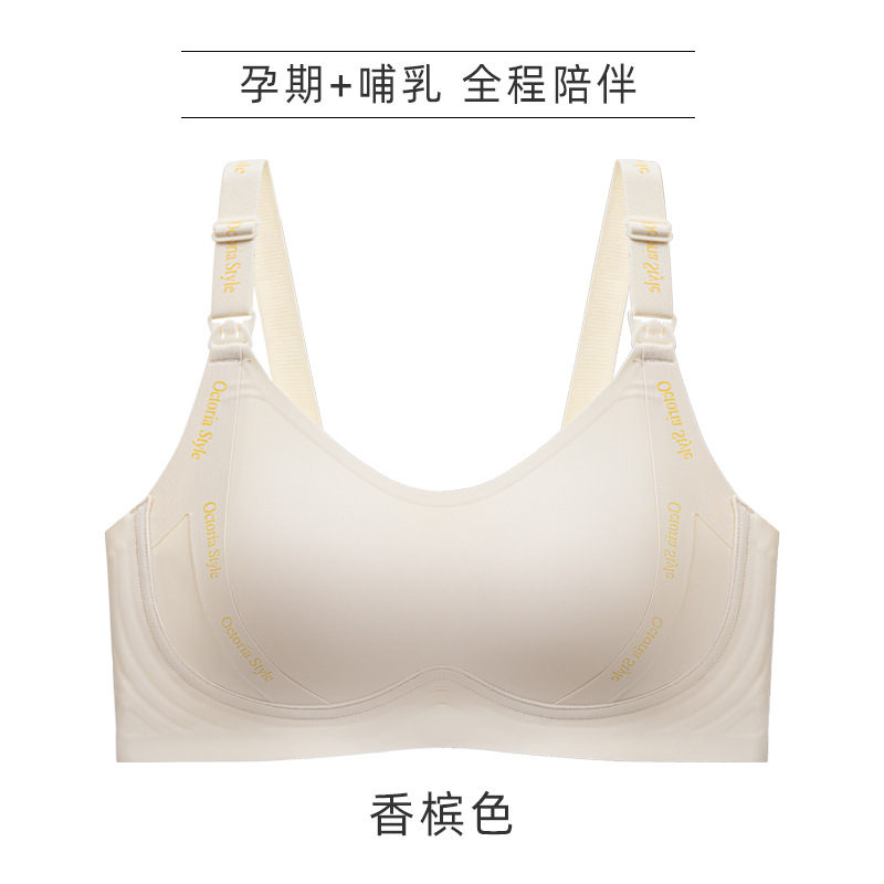 샴페인