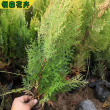 ���l����ؘ���ͥԺ��·�G�����ԾG�������瞢�����