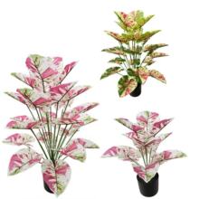 �羳����Gֲ�����~�ش�����Ҿ���ؙ����[�O�b٘����Է��滨