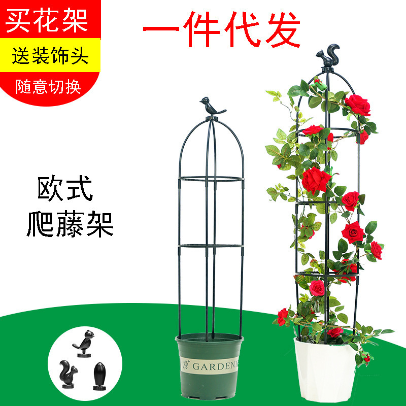 歐式園藝爬藤架月季花鐵線蓮花支架植物攀爬藤架陽台山烏龜支撐杆