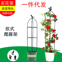 歐式園藝爬藤架月季花鐵線蓮花支架植物攀爬藤架陽台山烏龜支撐杆