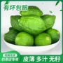 广东海南新鲜无籽香水