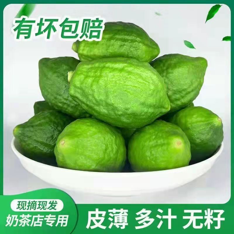 Guangdong Perfume Lemon Seedless Green Lemon Tropical Fresh Fruit First-Class Hainan Lemon Wholesale Milk Tea Shop Exclusive