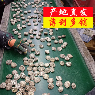 �����a��ֱ�N���l�軨������׻�����؛С�㹽Ģ�����خa��������