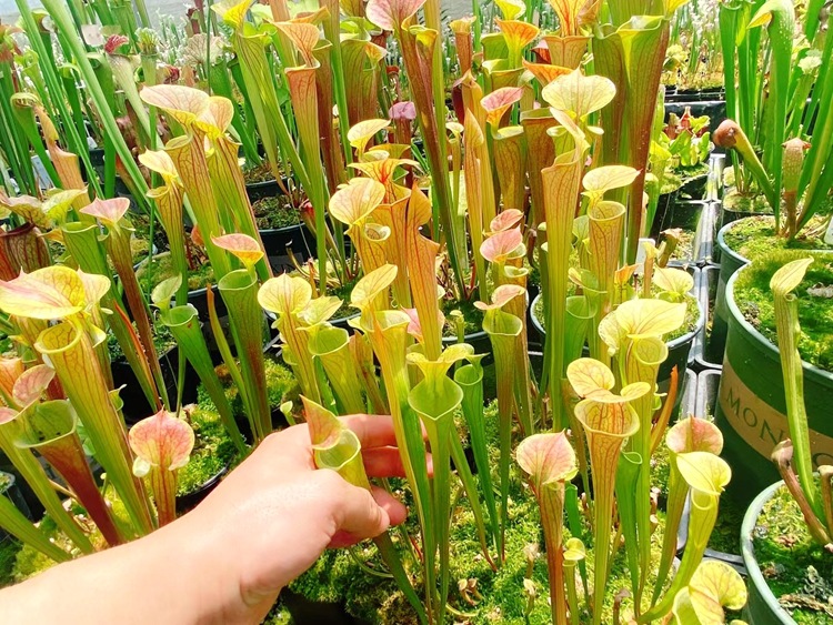 微信图片_20210520114102