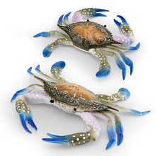 跨境仿真海洋动物大号螃蟹模型海底生物三点梭子蟹白蟹装饰摆件