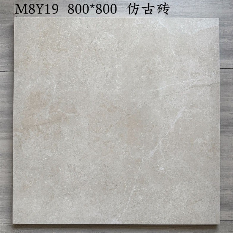M8Y19 / 800x800