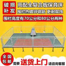 仔猪保育床围栏复合漏粪板带电热板小猪保育栏猪床母猪产床定位栏