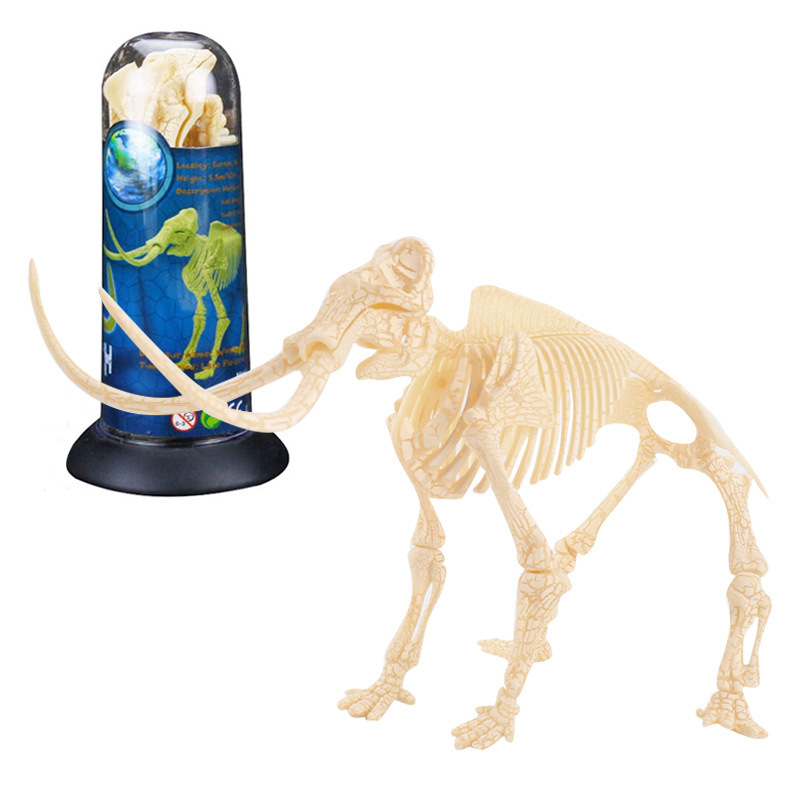 Transfronterizos de venta caliente simulación sólida modelo de cráneo de dinosaurio estático T. rex Velociraptor esqueleto arqueológico juguetes para niños