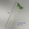 Large peony stem-sticky large leaves